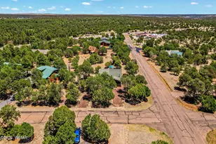 3475 Roundup Cir, Heber, AZ 85928 - Photo 28