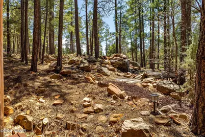 40 S Cliffrose Lane, Show Low, AZ 85901 - Photo 42