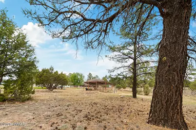 7026 Boulder Creek Road, Show Low, AZ 85901 - Photo 26