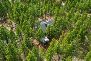 4449 Star Shine Cir, Happy Jack, AZ 86024 - Photo 40