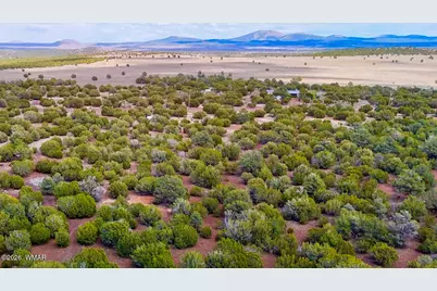 52 County Road 3198, Vernon, AZ 85940 - Photo 10
