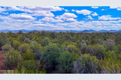 52 County Road 3198, Vernon, AZ 85940 - Photo 4