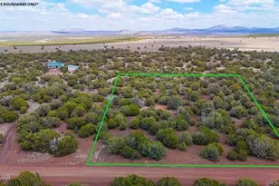 52 County Road 3198, Vernon, AZ 85940 - Photo 1
