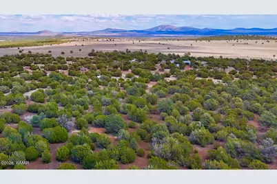 52 County Road 3198, Vernon, AZ 85940 - Photo 14