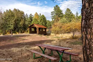 5145 Drifting Snow Loop, Pinetop, AZ 85935 - Photo 40