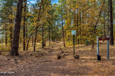 5145 Drifting Snow Loop, Pinetop, AZ 85935 - Photo 34