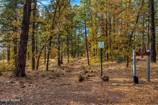 5145 Drifting Snow Loop, Pinetop, AZ 85935 - Photo 34