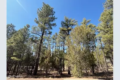 4790 W Hawthorn Road, Show Low, AZ 85901 - Photo 1