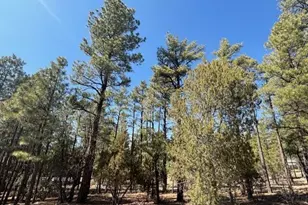 4790 W Hawthorn Rd, Show Low, AZ 85901 - Photo 1