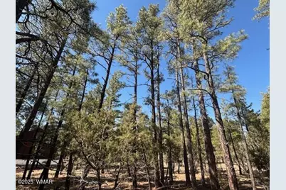 4790 W Hawthorn Road, Show Low, AZ 85901 - Photo 2