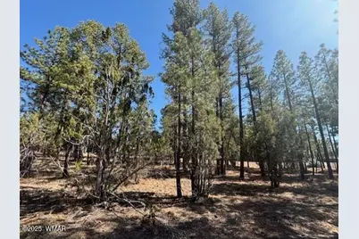 4790 W Hawthorn Road, Show Low, AZ 85901 - Photo 4