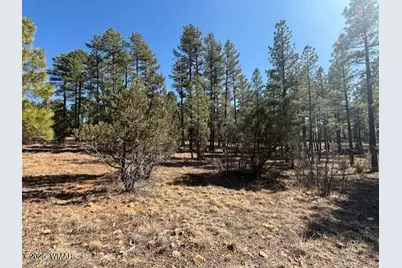 4790 W Hawthorn Road, Show Low, AZ 85901 - Photo 6