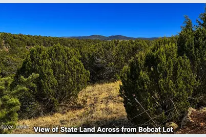 8595 Bobcat Drive, Show Low, AZ 85901 - Photo 12