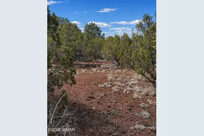 8595 Bobcat Drive, Show Low, AZ 85901 - Photo 10