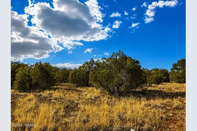 8595 Bobcat Drive, Show Low, AZ 85901 - Photo 4