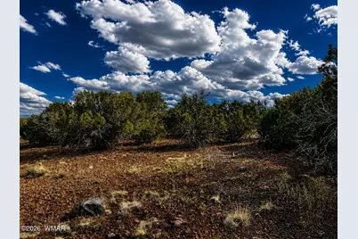 8595 Bobcat Drive, Show Low, AZ 85901 - Photo 8