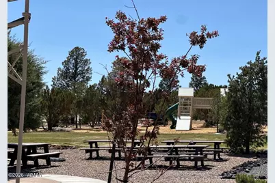 2746 Columbia Lane, Heber, AZ 85928 - Photo 4