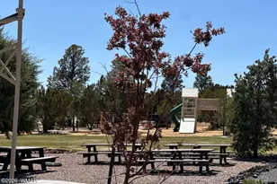 2746 Columbia Ln, Heber, AZ 85928 - Photo 4