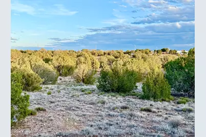 4428 Colt Road, Snowflake, AZ 85937 - Photo 20