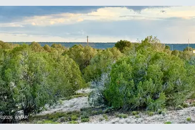 4428 Colt Road, Snowflake, AZ 85937 - Photo 4