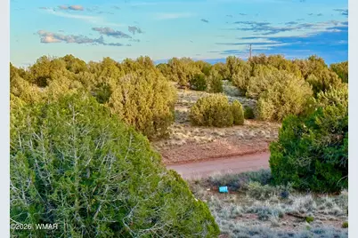 4428 Colt Road, Snowflake, AZ 85937 - Photo 6