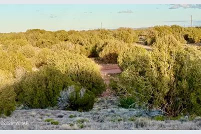 4428 Colt Road, Snowflake, AZ 85937 - Photo 16