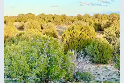 4428 Colt Road, Snowflake, AZ 85937 - Photo 14