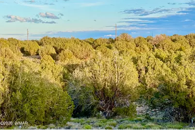 4428 Colt Road, Snowflake, AZ 85937 - Photo 18