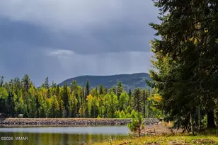 5271 Bridle Trail Cir, Pinetop, AZ 85935 - Photo 60