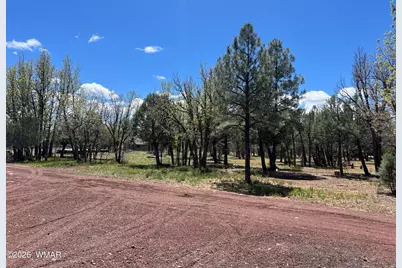 1321 S Woodland Road, Lakeside, AZ 85929 - Photo 6