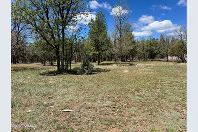1321 S Woodland Road, Lakeside, AZ 85929 - Photo 4
