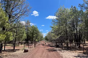 1321 S Woodland Rd, Lakeside, AZ 85929 - Photo 1