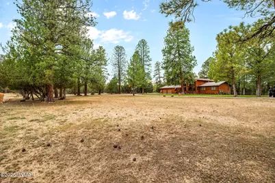 2922 Pine Rim Road, Overgaard, AZ 85933 - Photo 4