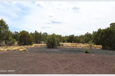 28 County Road N3099, Vernon, AZ 85940 - Photo 22