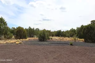 28 County Road N3099, Vernon, AZ 85940 - Photo 22