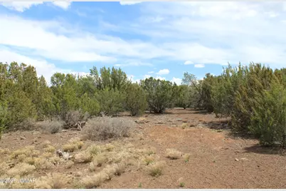 28 County Road N3099, Vernon, AZ 85940 - Photo 24