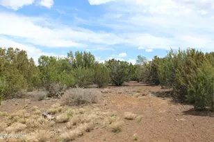 28 County Road N3099, Vernon, AZ 85940 - Photo 24