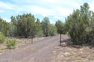 28 County Road N3099, Vernon, AZ 85940 - Photo 20