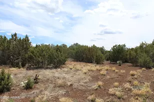 28 County Road N3099, Vernon, AZ 85940 - Photo 26