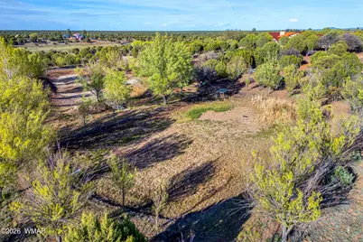 1600 N 16th Avenue, Show Low, AZ 85901 - Photo 62