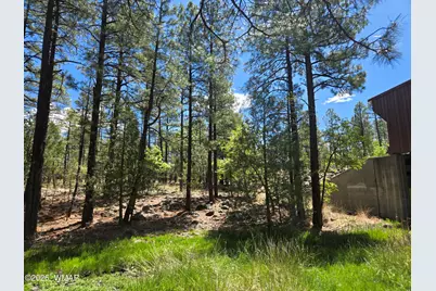 1500 W Walnut Creek Trail, Lakeside, AZ 85929 - Photo 22