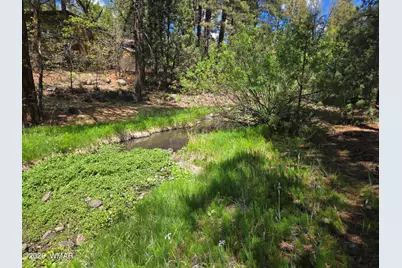 1500 W Walnut Creek Trail, Lakeside, AZ 85929 - Photo 20