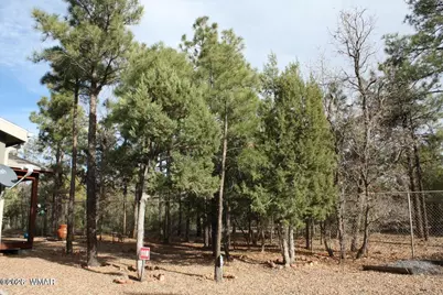 1260 S Deer Lane, Show Low, AZ 85901 - Photo 34
