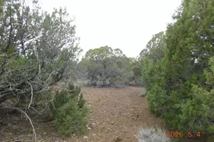 8333 Ridge Dr, Show Low, AZ 85901 - Photo 1