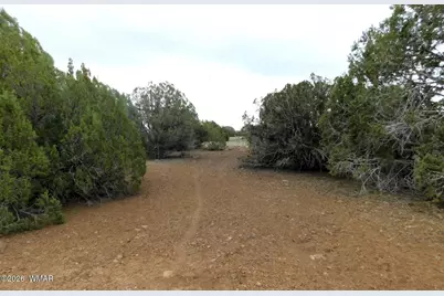 8333 Ridge Drive, Show Low, AZ 85901 - Photo 2