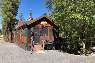 3890 S Mule Skinner Loop, Show Low, AZ 85901 - Photo 1