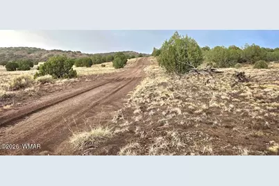 Lot 9 Pinon Valley Ranch, Concho, AZ 85924 - Photo 12