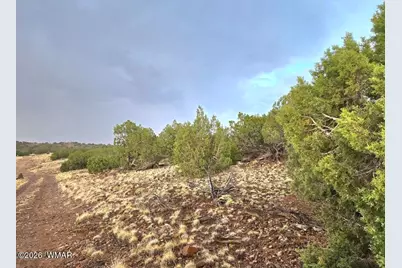 Lot 9 Pinon Valley Ranch, Concho, AZ 85924 - Photo 4