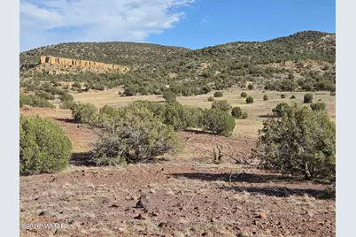 Lot 9 Pinon Valley Ranch, Concho, AZ 85924 - Photo 16