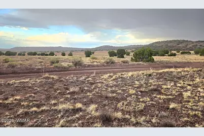 Lot 9 Pinon Valley Ranch, Concho, AZ 85924 - Photo 6